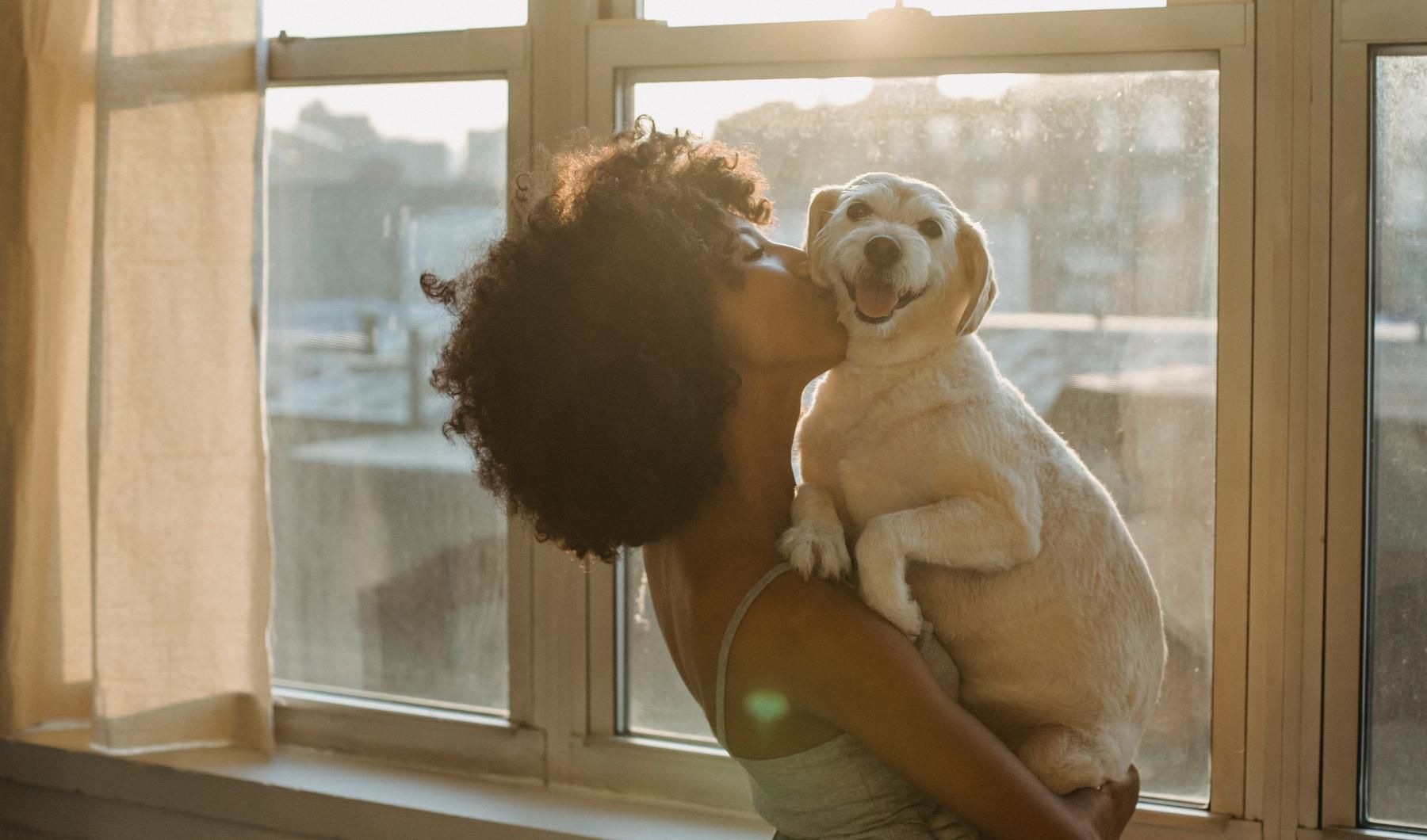 a person holding a dog